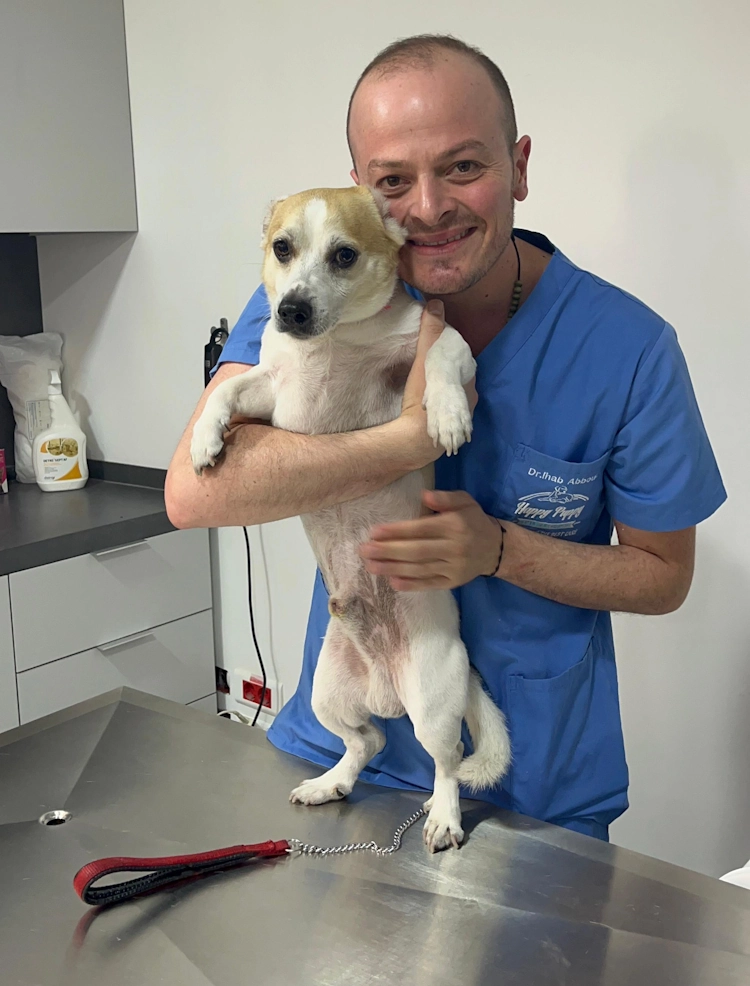 happypuppy_dr_ihab_word